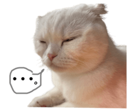 666434470