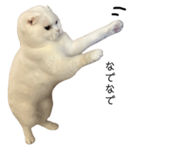 666434474