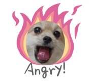 666476386