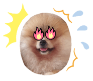 666476404