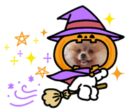 666476405
