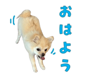 666487519