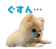 666487528