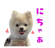 666487529