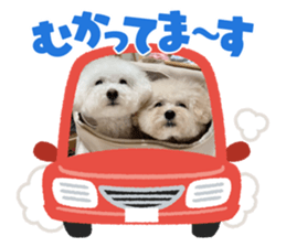 666488362