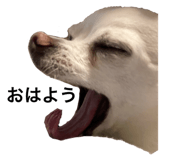 666526750