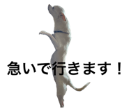 666526757