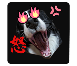 666568491