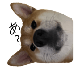 666587273