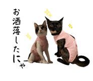 666600059