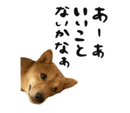 666702025