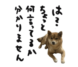 666702026
