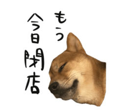 666702040