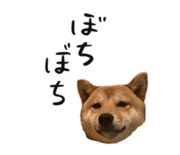 666702045