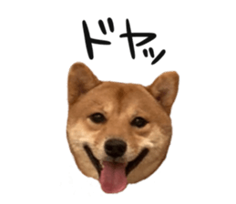 666702048
