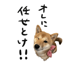 666702052