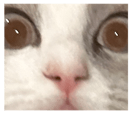666717294