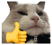 666717300