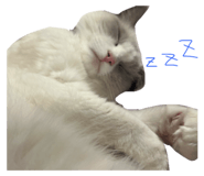 666717304