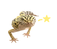 666721113