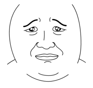 ลายที่ 15