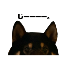 666727539