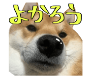666739735