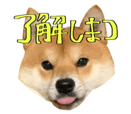666739736