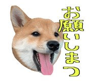 666739737