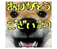 666739738