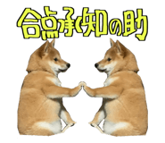 666739739