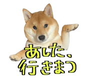 666739744