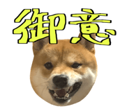 666739745