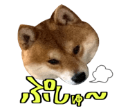 666739746