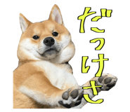 666739747