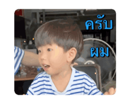 666746435