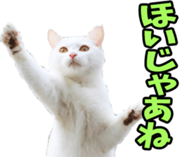 666746769