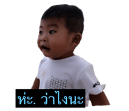 66674691