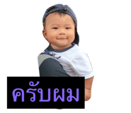 66674699