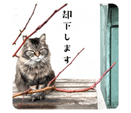 666787988
