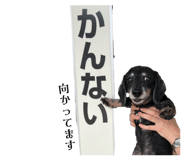 666854371