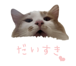 666865598