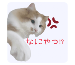 666865611