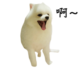 666871638
