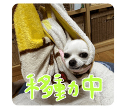 666930244