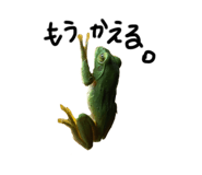 666931312