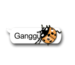 6669672