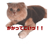 666967948