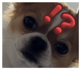 666972498