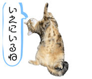 666979208